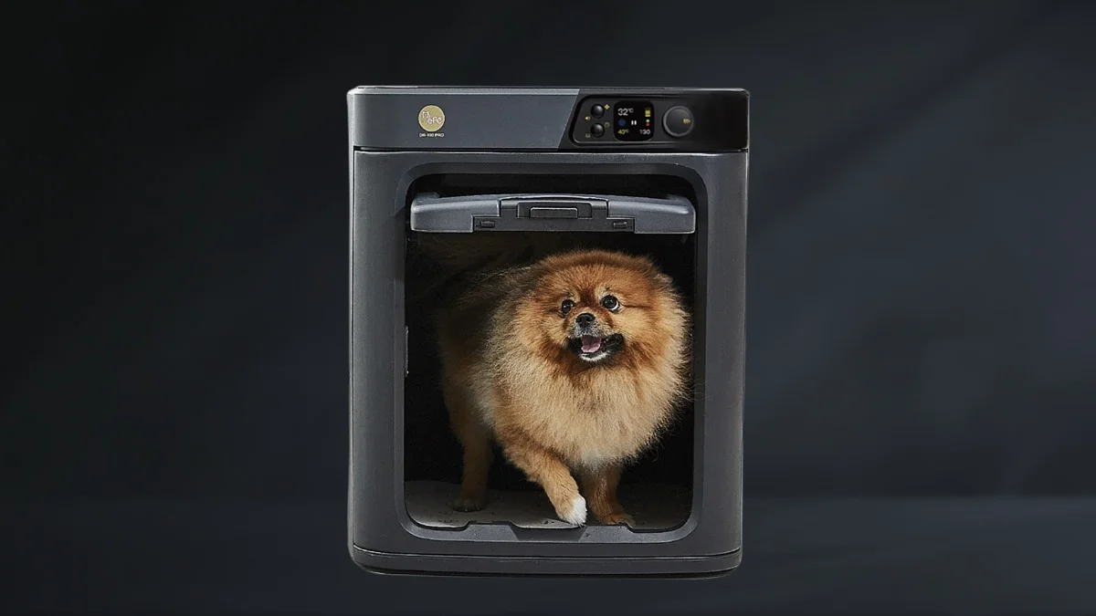 list of the most bizarre gadgets of the 21st century