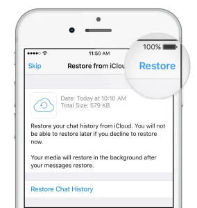 Too Curious? Here's How To Read Deleted WhatsApp Messages