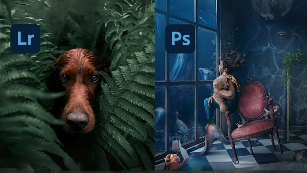 Lightroom Vs Photoshop: Which One Should You Actually Use In 2025?