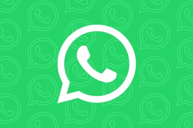 Tired of the Meta AI Circle in your WhatsApp Know the Available Options