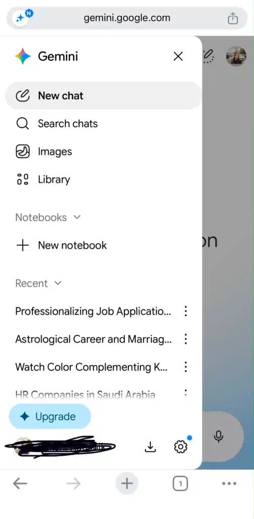 Google Gemini Privacy Settings Screenshot